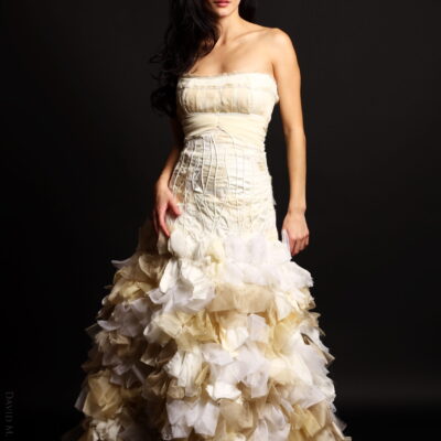 Ivory Zolotova Dress